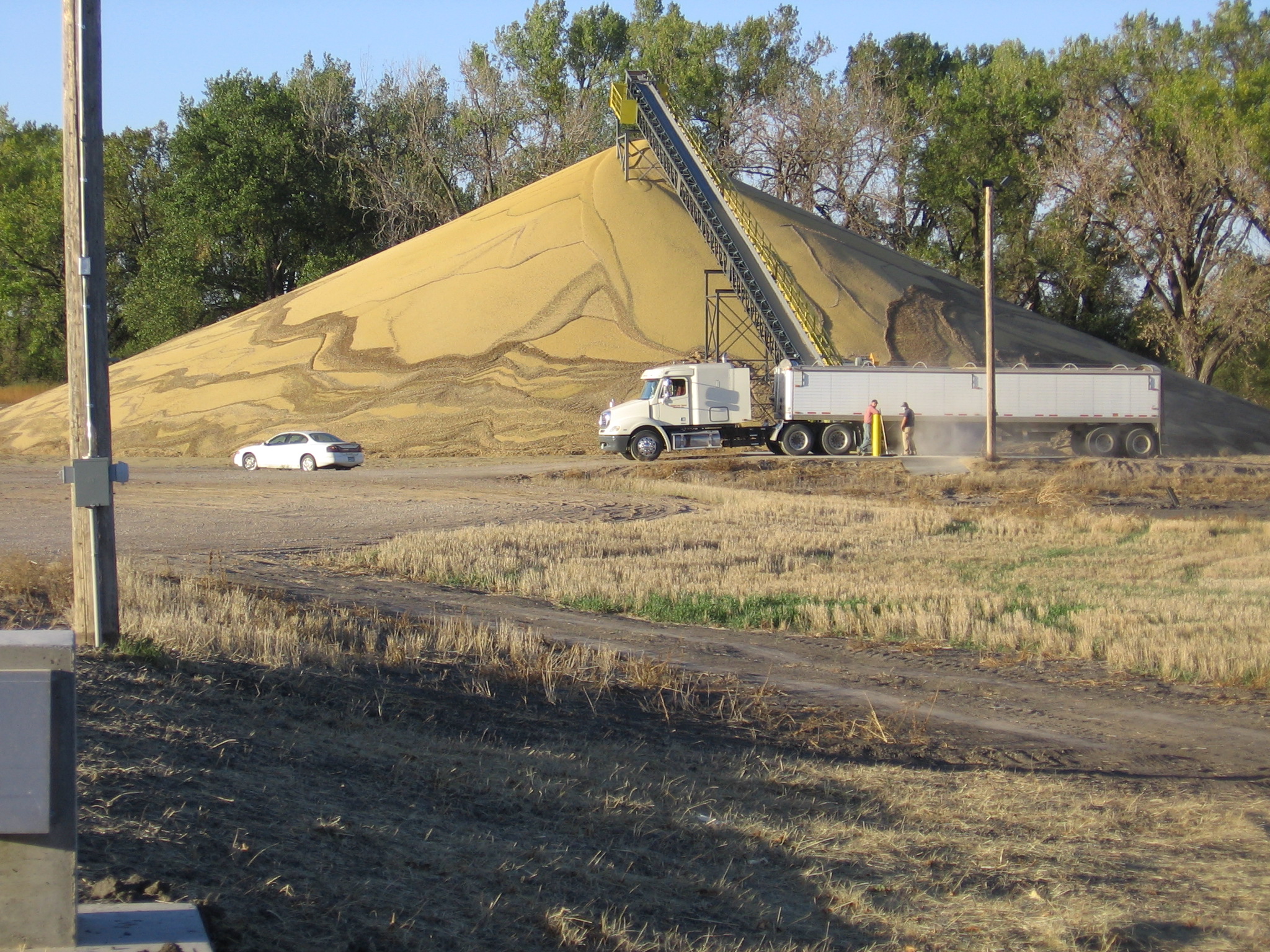 Dawson Grain Coop Elevator News